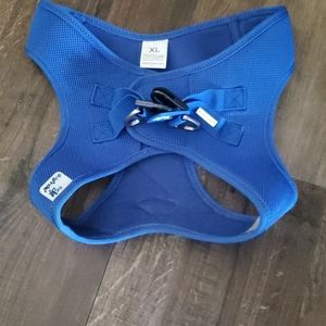 NWOT curli dog harness